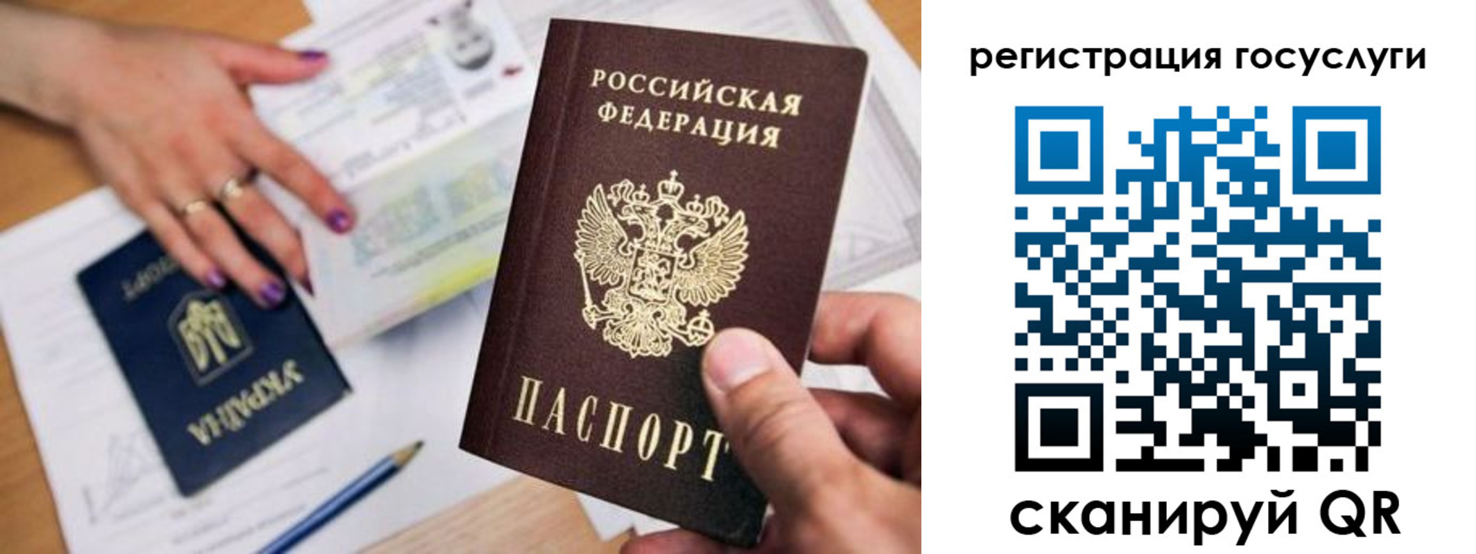 прописка иностранных граждан в Камчатском крае